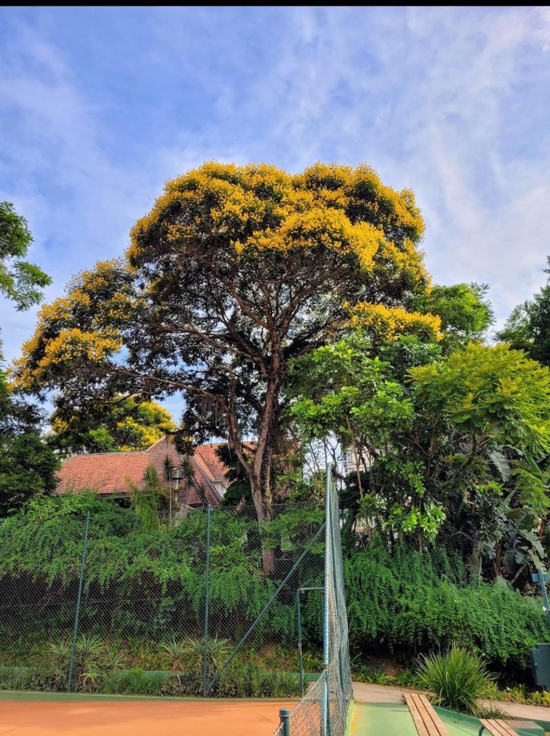 Отель Granja Brasil Puc 10 2 Itaipava Экстерьер фото